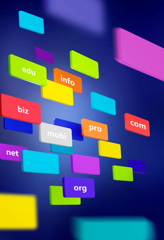 The Different Domain Names Based on Domain Extensions